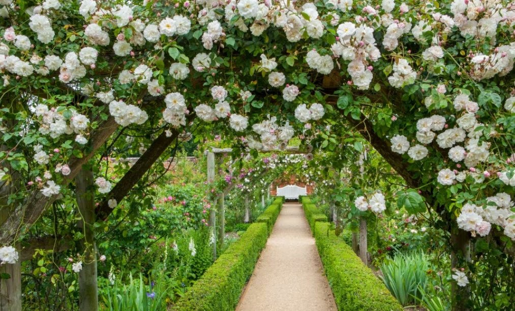 Hyde Park Rose Garden, St Albans, United Kingdom